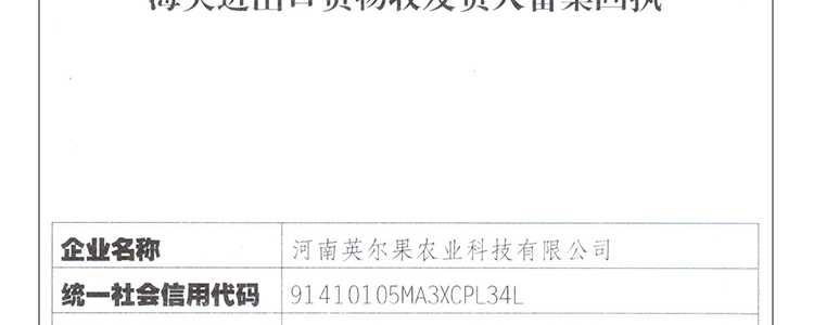 �������_20