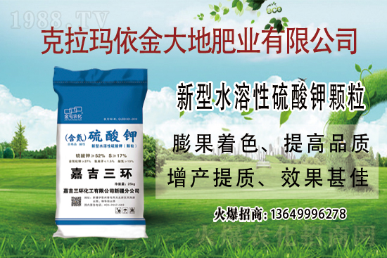 鉀肥市場保持堅(jiān)挺走勢！今日鉀肥價(jià)格走勢及交易日評(píng)