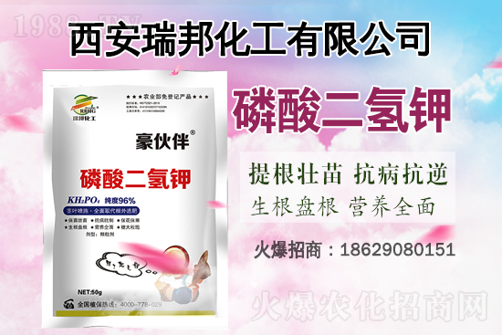 漲了！漲了！鉀肥價格又漲了！近期鉀肥價格行情走勢（7月16日）