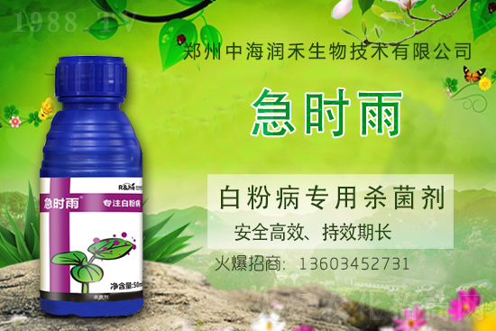     �к������ٺ����r(n��ng)�����̾W(w��ng)�����M(j��n)��(zh��n)�Ժ�����������