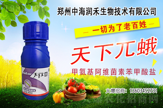     �к������ٺ����r(n��ng)�����̾W(w��ng)�����M(j��n)��(zh��n)�Ժ�����������