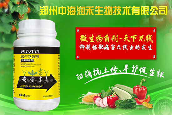     �к������ٺ����r(n��ng)�����̾W(w��ng)�����M(j��n)��(zh��n)�Ժ�����������