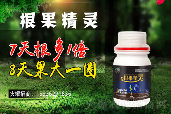 ��ɫ�и��m���m(x��)1988.TV�����\�����°l(f��)չ��