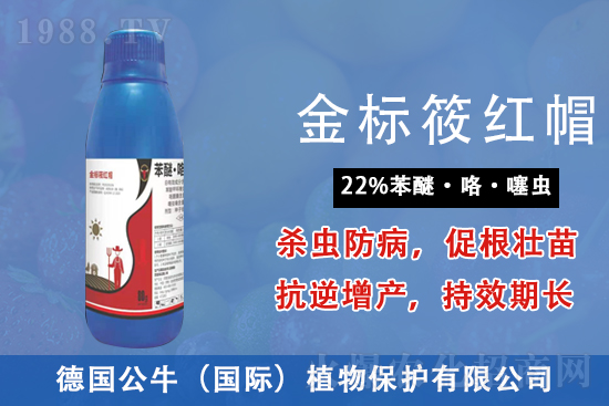 2021��8��18�ն࿹ù�ؚ������r(ji��)��