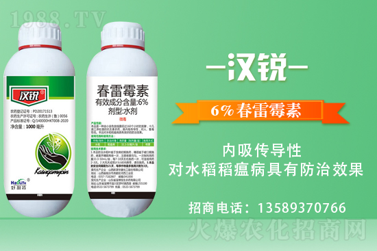     �������\�°l(f��)չ�����u�������ٴκ��s1988.TV��