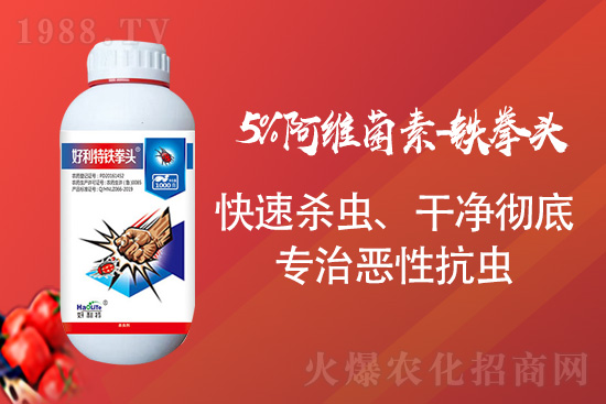     �������\�°l(f��)չ�����u�������ٴκ��s1988.TV��