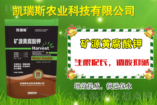 �y��ͬ�������\�l(f��)չ����ϲ�P��˹�r(n��ng)�I(y��)�ٺ�1988.TV��