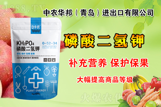 ���r(n��ng)���W(w��ng)ϲӭ�����ѣ����r(n��ng)�A�(qi��ng)�݁��u��