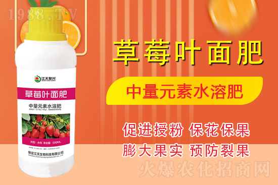 合作發(fā)展，共創(chuàng)未來，江天生物簽約1988.TV，共創(chuàng)新輝煌！