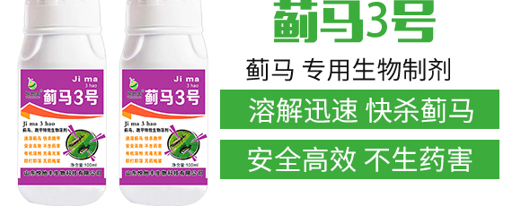 �E�R�����������Ƅ�-�E��3̖-�����S����_03