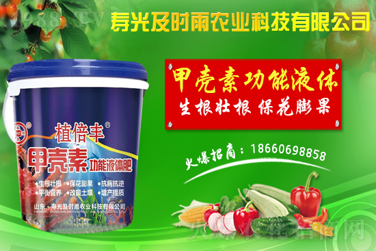     �۹⼰�r(sh��)���٠��ֻ��r(n��ng)���W(w��ng)�����r(n��ng)�Y�ИI(y��)ע����(d��ng)����