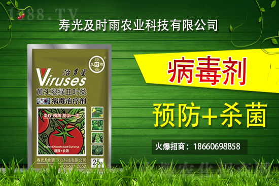     �۹⼰�r(sh��)���٠��ֻ��r(n��ng)���W(w��ng)�����r(n��ng)�Y�ИI(y��)ע����(d��ng)����