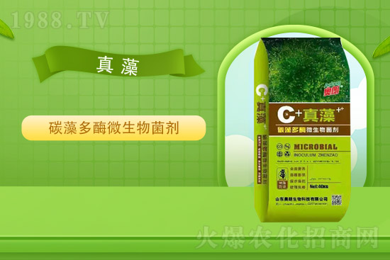 氯化鉀價(jià)格平穩(wěn)，2021年9月2日國內(nèi)鉀肥價(jià)格走勢(shì)