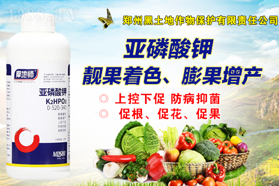 一銨市場(chǎng)報(bào)價(jià)，2021年9月2日磷銨價(jià)格行情