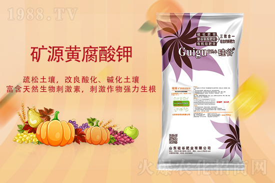 2021��9��22�ՏͺϷʃr�������߄�