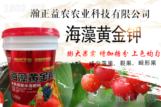 ��������r��ף���т��I(y��)���������������������µ�һ�����չ��D��