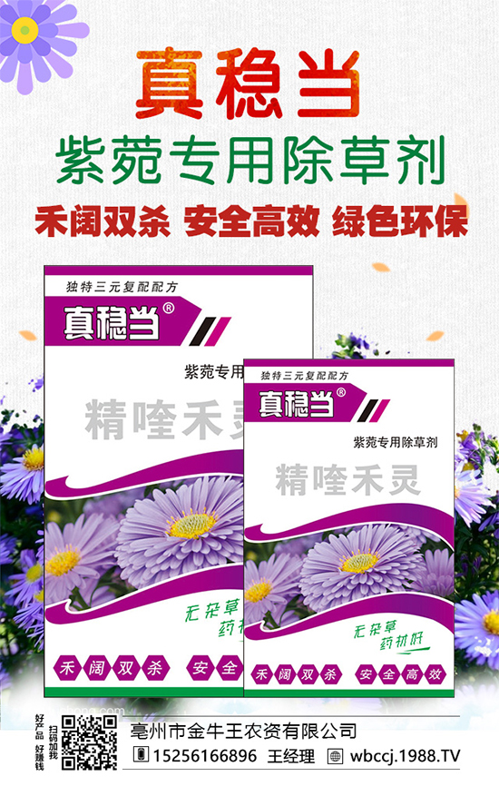 ����ţ���r�Y��ף�r�Y���N�����т�2022����옷����ϲ�l(f��)ؔ��