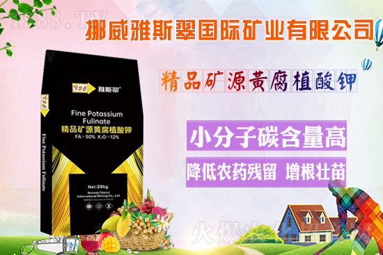 ��Ų����˹�䡿ף�V��(j��ng)�N��2022�껢��󼪣��H�Қg��������(ji��)�옷��