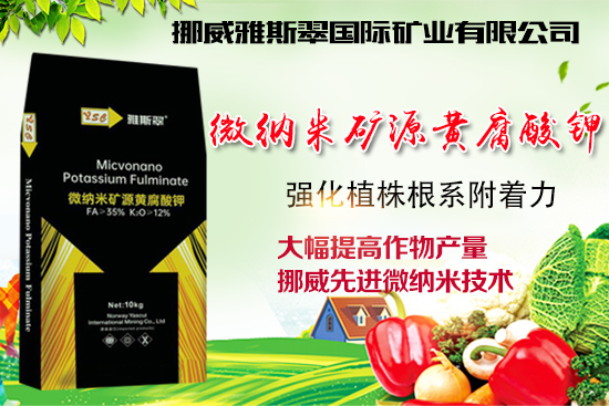 ��Ų����˹�䡿ף�V��(j��ng)�N��2022�껢������H�Қg��������(ji��)�옷��