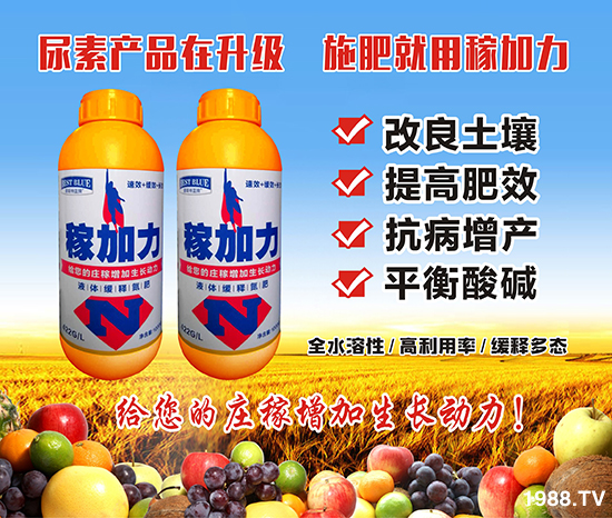 ����˹�ء�ף���т�����옷���f��������֥���_����(ji��)��(ji��)����