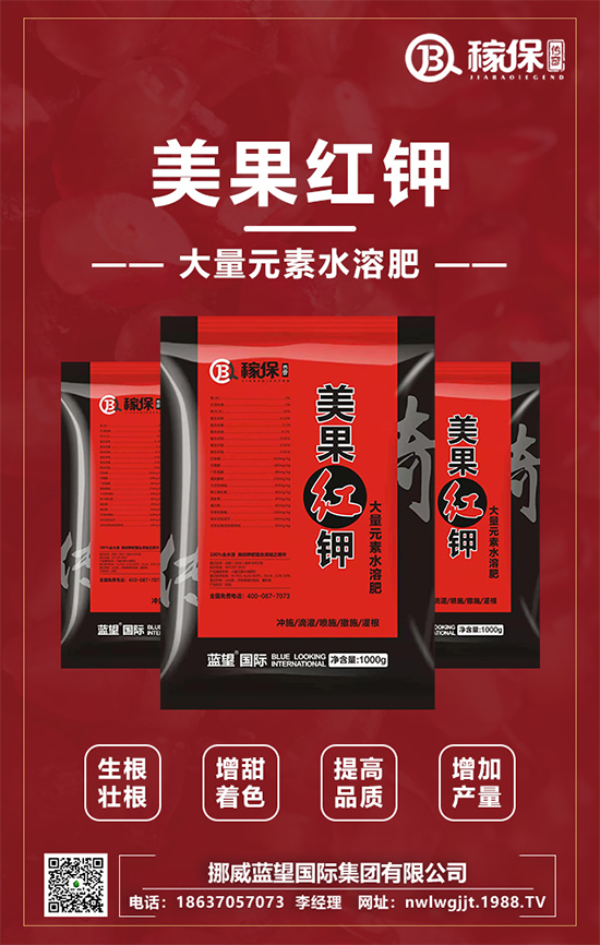 ��Ų���{(l��n)������ף������������옷�����꼪�飡2022ؔ(c��i)Դ�L�L��