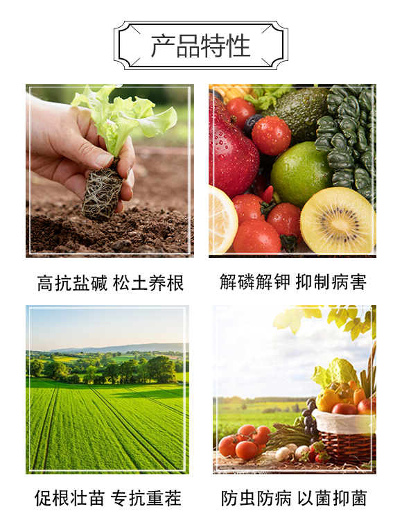 ���u�����r(n��ng)�ʘI(y��)���޹�˾_05