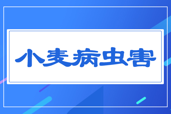 С�����x(ch��ng)��