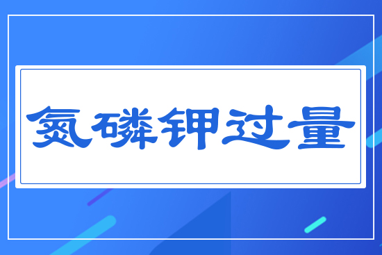 氮磷鉀過量