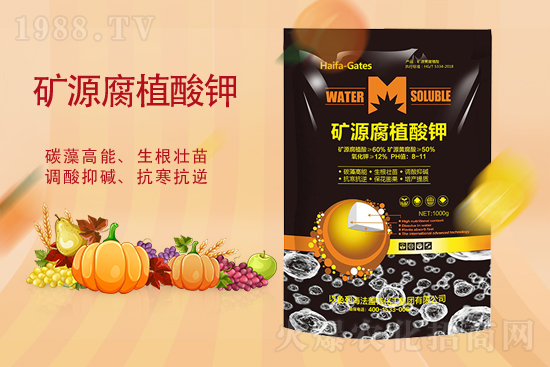 ⛷ʃr(ji��)�����ٝq����2��19�ո���⛷ʃr(ji��)��