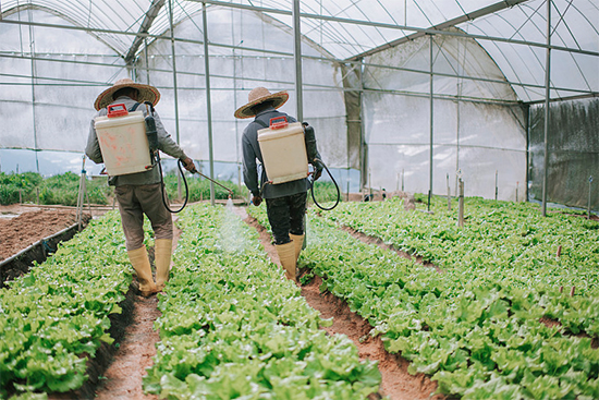 �ذ������ߌóɶ��N�I(y��)���[��(hu��)���n11��18��