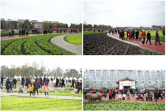 �ذ������ߌóɶ��N�I(y��)���[��(hu��)���n11��18��