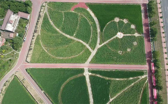 �ذ������ߌóɶ��N�I(y��)���[��(hu��)���n11��18��