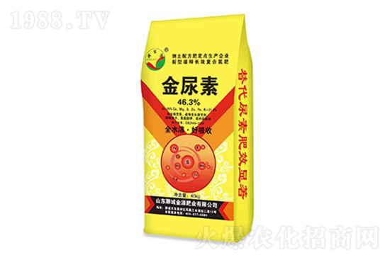 �r���{(di��o)����2022��3��1�Շ���(n��i)���؃r��һ�[