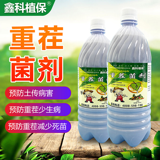 �ز����-�ο�ֲ��2