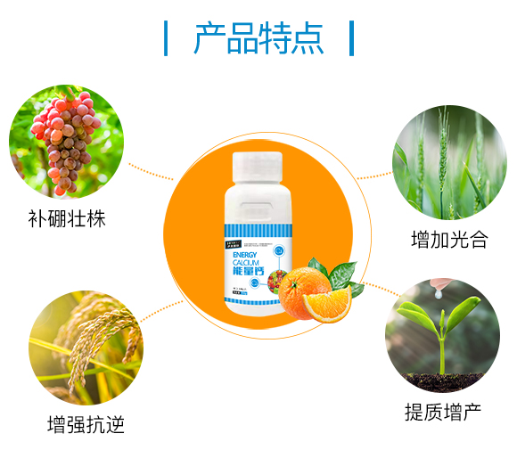 �o(h��)�����H855862_03