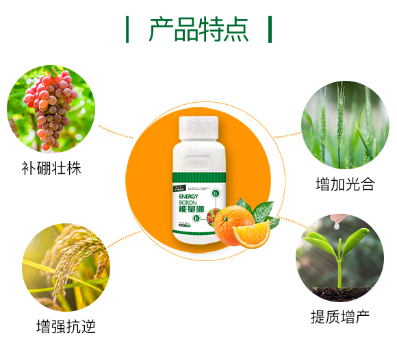 �o�����H855863_03