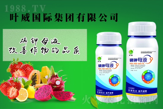 鉀肥價(jià)格回暖？4月5日鉀肥價(jià)格行情