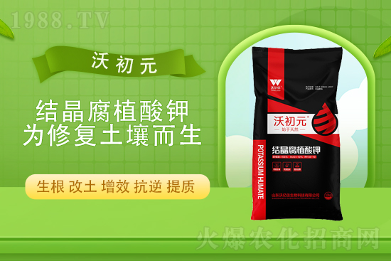 今日報價，2022年4月13日復(fù)合肥市場價格