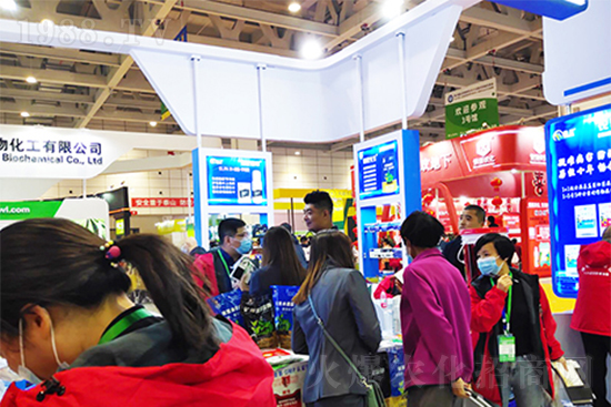 ֲ�ﲡ�����ġ����ǡ����ٚ����x�׷�ʭ������Ч���L�_(d��)40����