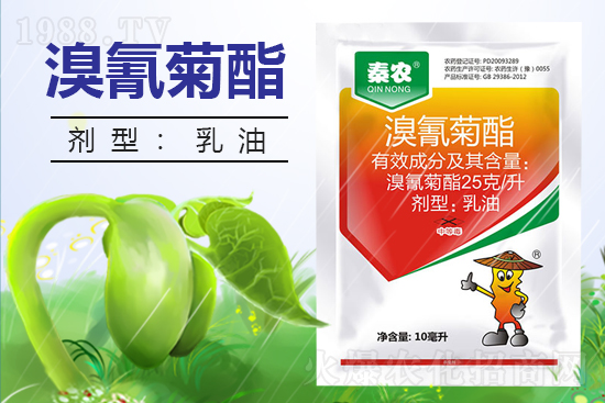 ������ˎ������������߀Ҫ��᣿