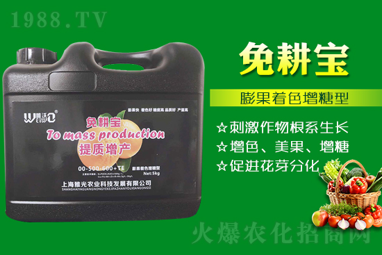 ���Ѵ߼t��ʩ��ô������ʲô���ɣ�