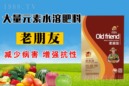 ��(ji��)ˮ�r(n��ng)�I(y��)���s1988.TV���y�ֹ���(chu��ng)����������