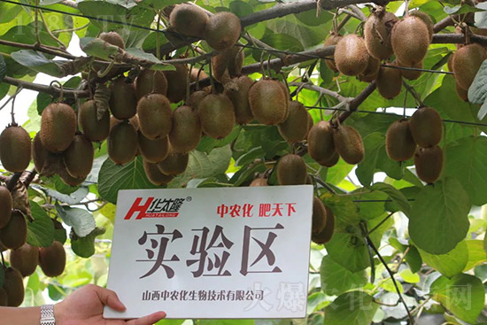 �J����������c(di��n)����Щ���J����������ôʩ