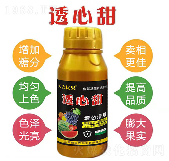 河南天農化工有限公司13