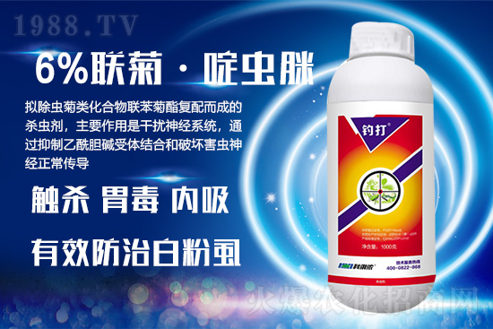 白粉虱為什么難以根除？白粉虱怎么防治？用什么藥？