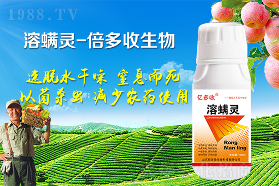 �ļ������~�����l(f��)��ô�k�������~����ԓ���ӷ�����