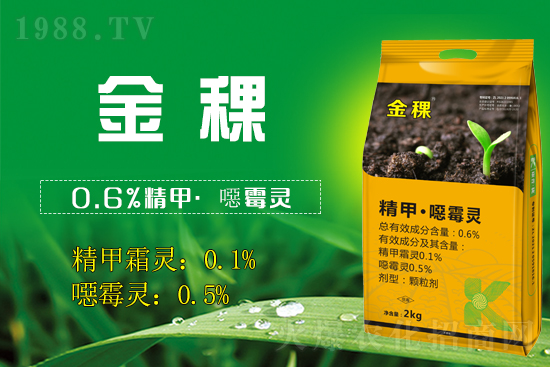 ���ս����(qi��ng)��(sh��)���v1988.TV���_���W(w��ng)�j(lu��)���������̣�