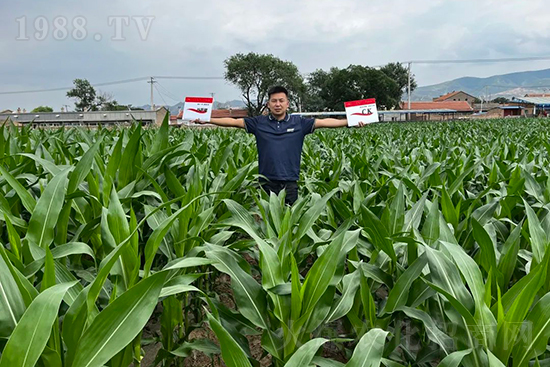 ��Դ������������I�B(y��ng)�a(b��)��ȫ����