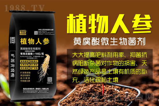 ɽ�|�����������＼�g(sh��)���޹�˾1