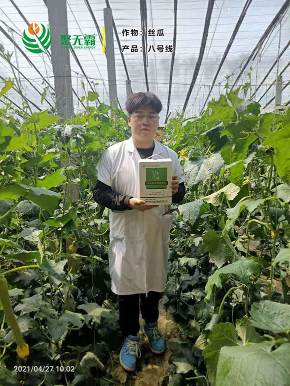 淡紫紫孢菌+阿維菌毒-八號(hào)線-聚無(wú)霸3